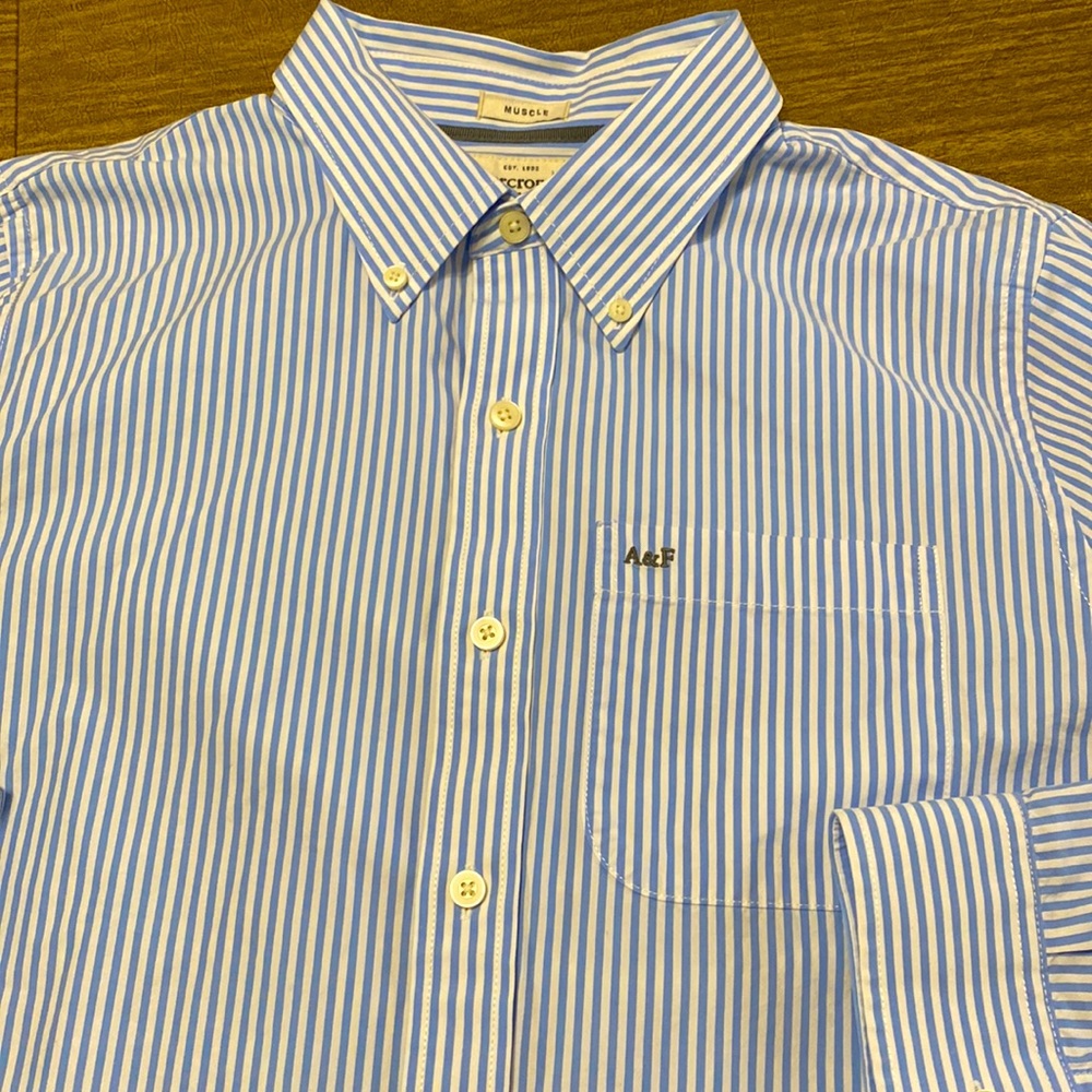 Abercrombie & Fitch Blue and White Striped Muscle Fit Button-Down Shirt XL